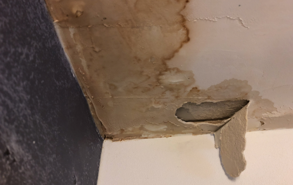 Paramount Roofing Icon